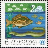 (1983-004) Марка Польша "Лебедь, карп и угорь"    Охрана природы II Θ